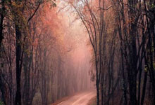 FB体育官网-蒙特雷防守反击战术成亮点，挑战欧洲豪强