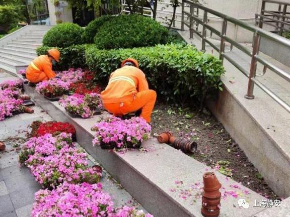 关于上海绿地备战克服困难努力拼搏的信息 关于上海绿地备战克服困难努力拼搏的信息