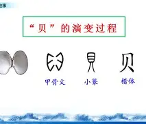 贝内文托期待新风貌，势必掀起新热潮