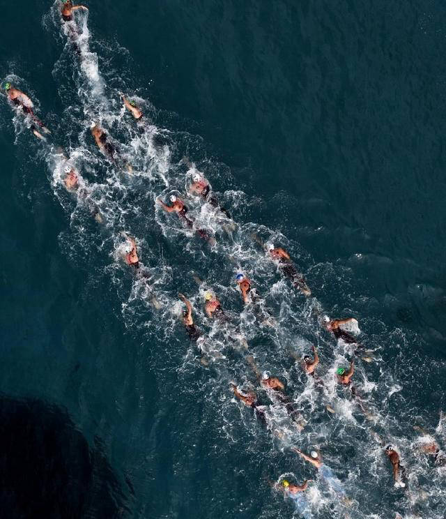 意大利选手斩获游泳比赛冠军