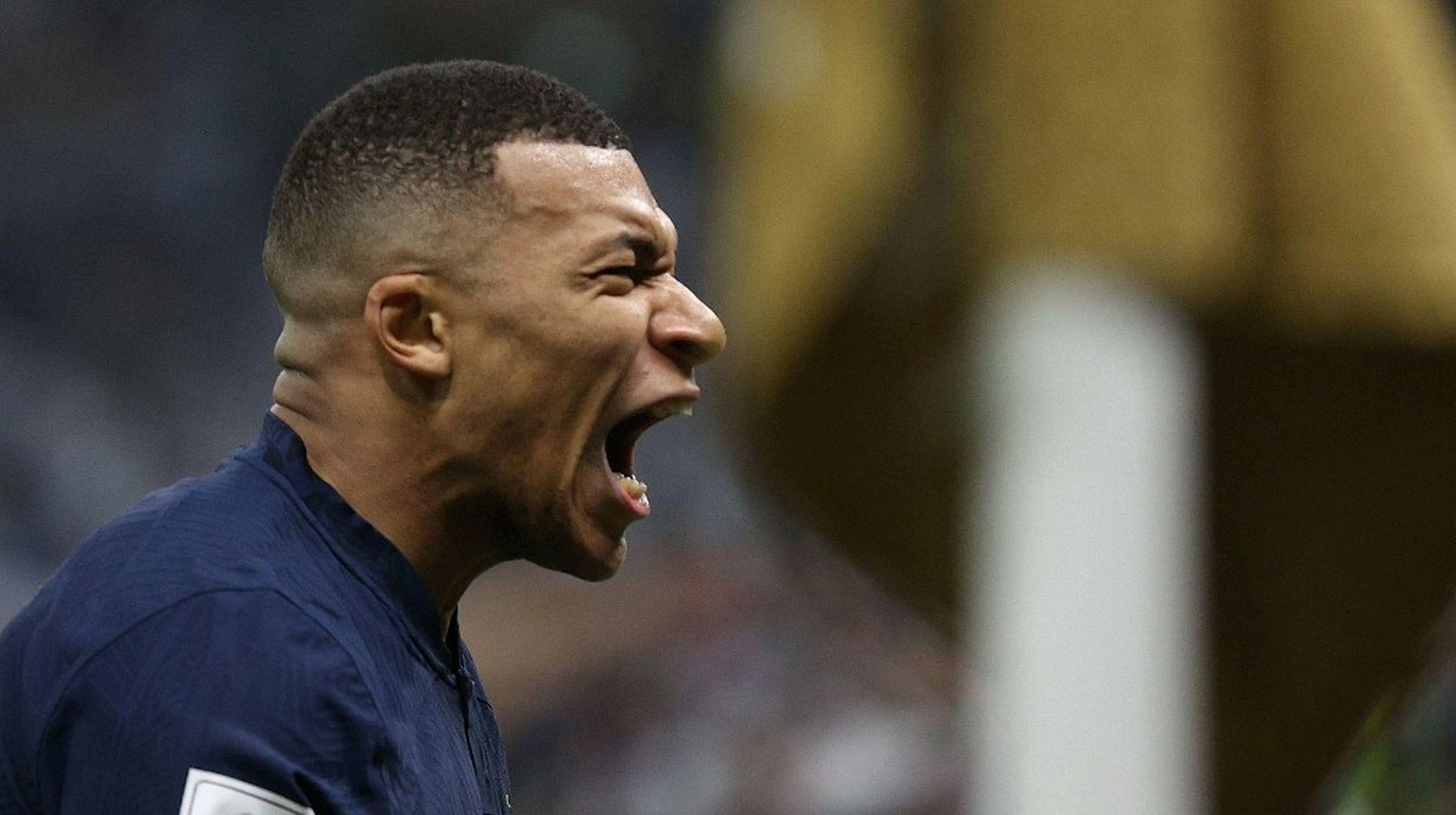 关于纪录无双!法国欧预赛保持不败纪录的信息 关于纪录无双!法国欧预赛保持不败纪录的信息