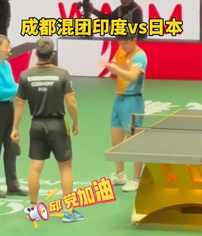 包含波兰队碾压德国队，张本智和带队取胜的词条